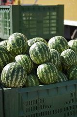 Image showing Watermelons in large crates