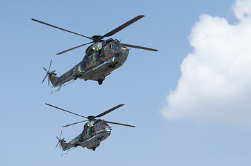 Image showing Green military helicopters. Horizontal image