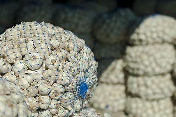 Image showing Mesh bag with garlic