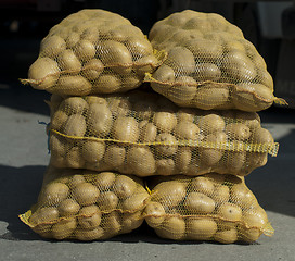 Image showing Potatoes in mesh bags