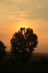 Image showing sunset