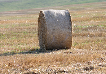 Image showing haystack 