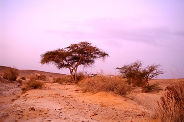Image showing Desert landscape