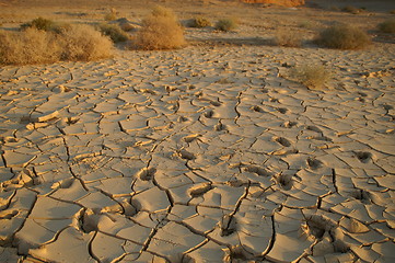 Image showing Dry soil - ecology disaster