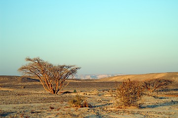 Image showing Desert landscape