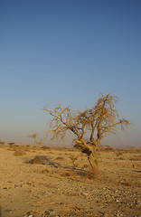 Image showing Desert landscape