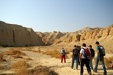 Image showing walkers in a desert