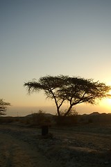 Image showing Desert landscape 