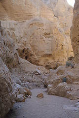 Image showing arava desert - dead landscape, background