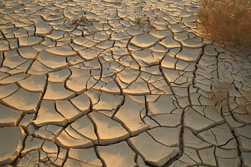 Image showing Dry soil - ecology disaster