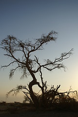 Image showing Desert landscape