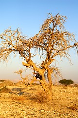 Image showing Desert landscape