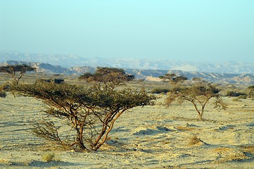 Image showing Desert landscape