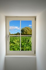 Image showing window and nature