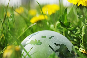 Image showing glass globe or earth in grass