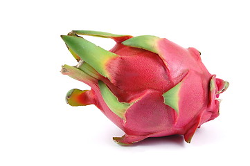 Image showing Dragon fruit