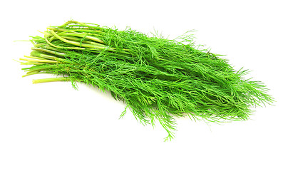 Image showing fennel on a white background