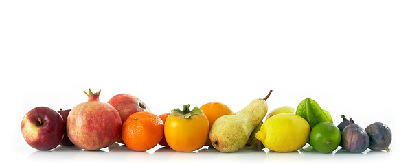 Image showing set of fruits