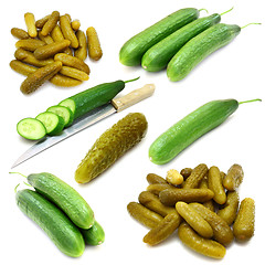 Image showing Collection of fresh, marinated  cucumbers