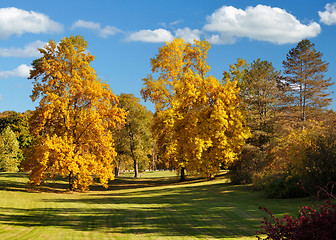 Image showing autumn landscape