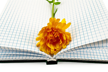 Image showing Notebook with calendula