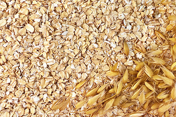 Image showing The texture of oatmeal with oat stems to the right