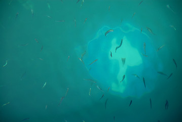 Image showing Traffic sign under water