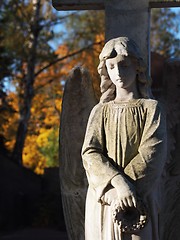 Image showing Stone Angel 