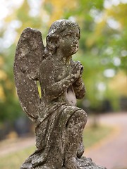 Image showing Stone Angel 