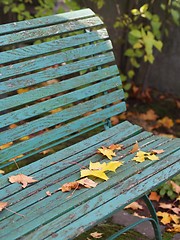 Image showing Bench in Autumn