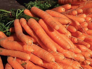 Image showing Carrots 