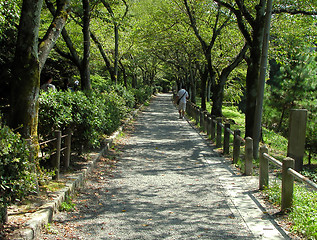 Image showing Philosopher's path-Tetsugaku no michi