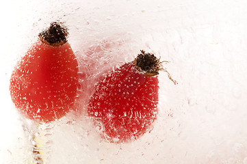 Image showing Frozen rose hips