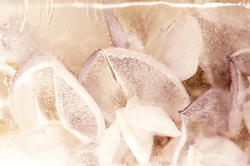 Image showing Frozen flowers. blossoms in the ice cube