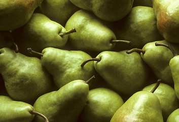 Image showing Bartlet Pears