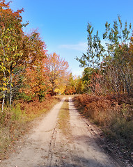 Image showing rural road and autumn forest