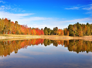 Image showing autumn landscape