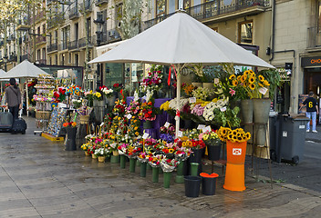 Image showing Barcelona Rambla of flowers
