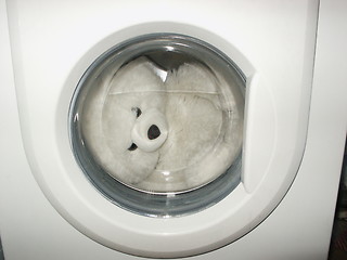Image showing Toy in the washing machine