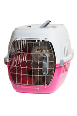 Image showing Pet carrier with cat