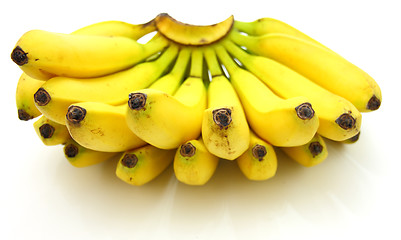 Image showing Bunch of bananas isolated on white background