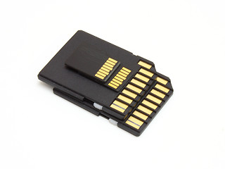 Image showing Secure Digital memory cards 