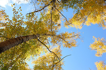 Image showing Beautiful autumn time