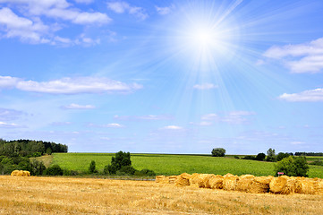 Image showing summer landscape