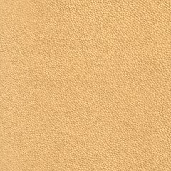 Image showing beige leather 