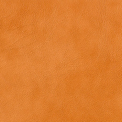 Image showing genuine leather