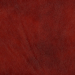 Image showing leather