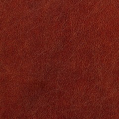 Image showing leather