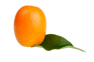 Image showing kumquat