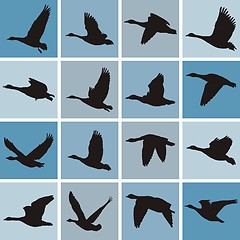 Image showing Wild geese pattern